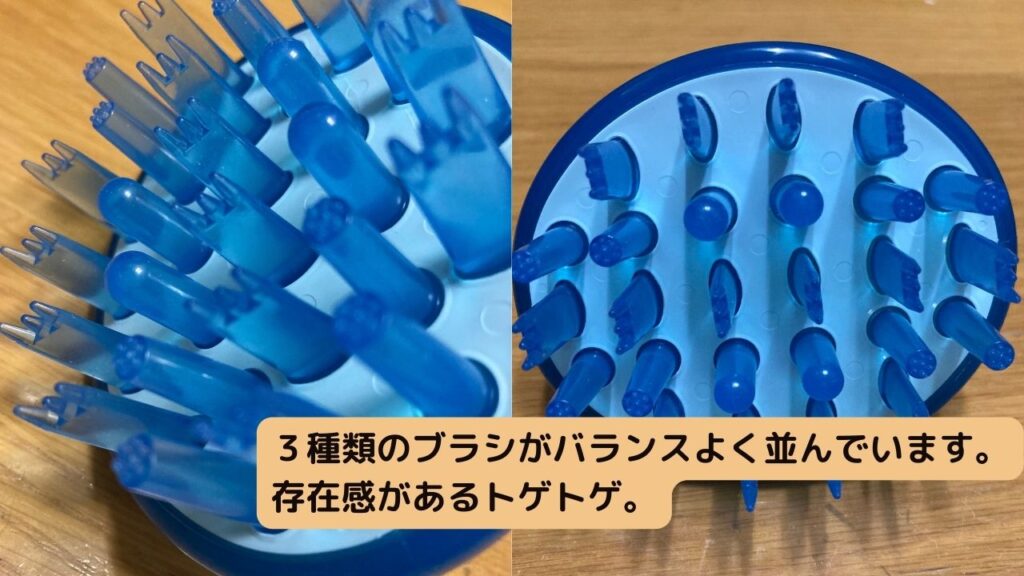 サクセス 頭皮洗浄ブラシの実際の画像①